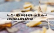 ins怎么回复评论中的评论内容（instagram怎么回复某句话）