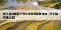 快手低价涨赞平台有哪些呢视频播放（快手涨赞涨流量）
