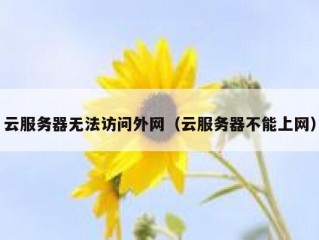 云服务器无法访问外网（云服务器不能上网）