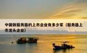 中国做服务器的上市企业有多少家（服务器上市龙头企业）