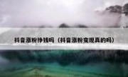 抖音涨粉挣钱吗（抖音涨粉变现真的吗）