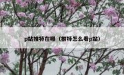 p站推特在哪（推特怎么看p站）