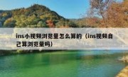 ins小视频浏览量怎么算的（ins视频自己算浏览量吗）