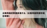 云服务器的数据盘是什么（云服务器数据存储在哪里）