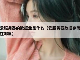 云服务器的数据盘是什么（云服务器数据存储在哪里）