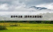 派币咋注册（派币的注册流程）