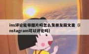 ins评论能带图片吗怎么发朋友圈文案（instagram可以评论吗）