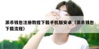 派币钱包注册教程下载手机版安卓（派币钱包下载流程）