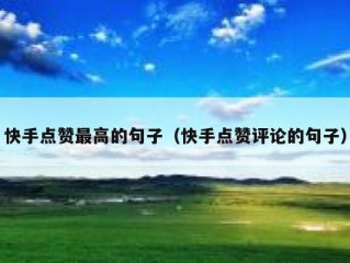 快手点赞最高的句子（快手点赞评论的句子）