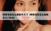 跨境电商怎么做新手入门（跨境电商怎么做新手入门虾皮）