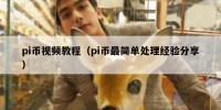 pi币视频教程（pi币最简单处理经验分享）