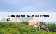 ins如何评论图片（ins的评论怎么排序的）