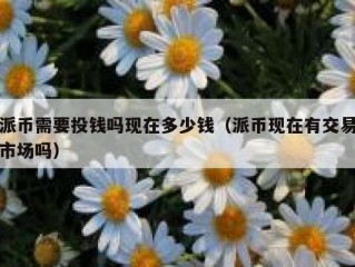 派币需要投钱吗现在多少钱（派币现在有交易市场吗）