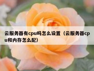 云服务器有cpu吗怎么设置（云服务器cpu和内存怎么配）