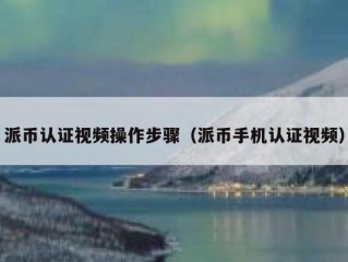 派币认证视频操作步骤（派币手机认证视频）