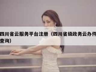 四川省云服务平台注册（四川省级政务云办件查询）