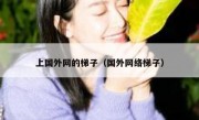上国外网的梯子（国外网络梯子）