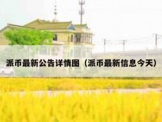 派币最新公告详情图（派币最新信息今天）