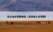 怎么加点赞群微信（怎样加入点赞群）
