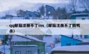 qq邮箱注册不了ins（邮箱注册不了鹅鸭杀）
