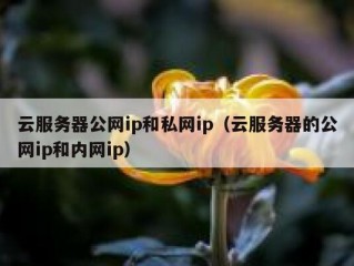 云服务器公网ip和私网ip（云服务器的公网ip和内网ip）