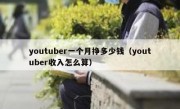 youtuber一个月挣多少钱（youtuber收入怎么算）