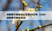成都限行被拍怎么处罚2022年（2020成都限行规定违法）
