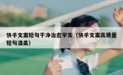 快手文案短句干净治愈学生（快手文案高质量短句温柔）