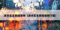 派币实名教程视频（派币实名教程视频下载）