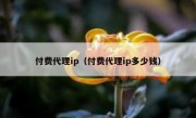 付费代理ip（付费代理ip多少钱）