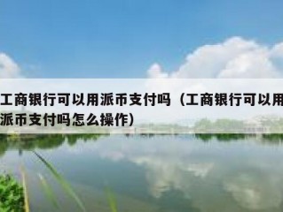 工商银行可以用派币支付吗（工商银行可以用派币支付吗怎么操作）