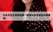 公众号怎么有粉丝群（微信公众号粉丝从哪里来）