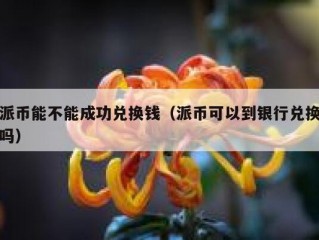 派币能不能成功兑换钱（派币可以到银行兑换吗）
