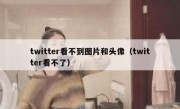 twitter看不到图片和头像（twitter看不了）