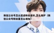微信公众号怎么促进粉丝增长,怎么维护（微信公众号粉丝量怎么增加）