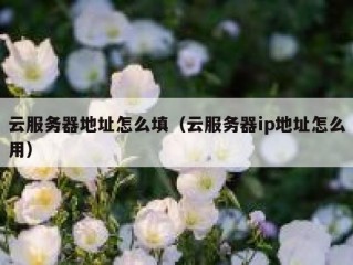 云服务器地址怎么填（云服务器ip地址怎么用）