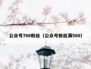 公众号700粉丝（公众号粉丝满500）