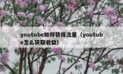 youtube如何获得流量（youtube怎么获取收益）
