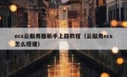 ecs云服务器新手上路教程（云服务ecs怎么搭建）