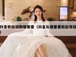 抖音粉丝级数哪里看（抖音从哪里看粉丝等级）