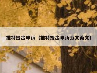 推特提出申诉（推特提出申诉范文英文）