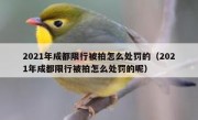 2021年成都限行被拍怎么处罚的（2021年成都限行被拍怎么处罚的呢）