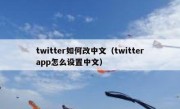 twitter如何改中文（twitterapp怎么设置中文）