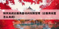 如何关闭云服务器访问权限管理（云服务设置怎么关闭）