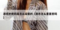 派币的密码是怎么设置的（派币怎么重置密码）