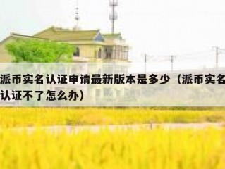 派币实名认证申请最新版本是多少（派币实名认证不了怎么办）