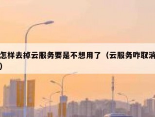 怎样去掉云服务要是不想用了（云服务咋取消）