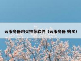 云服务器购买推荐软件（云服务器 购买）