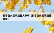 抖音怎么显示观看人数呢（抖音怎么显示观看数量）