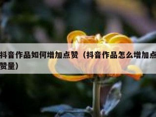 抖音作品如何增加点赞（抖音作品怎么增加点赞量）